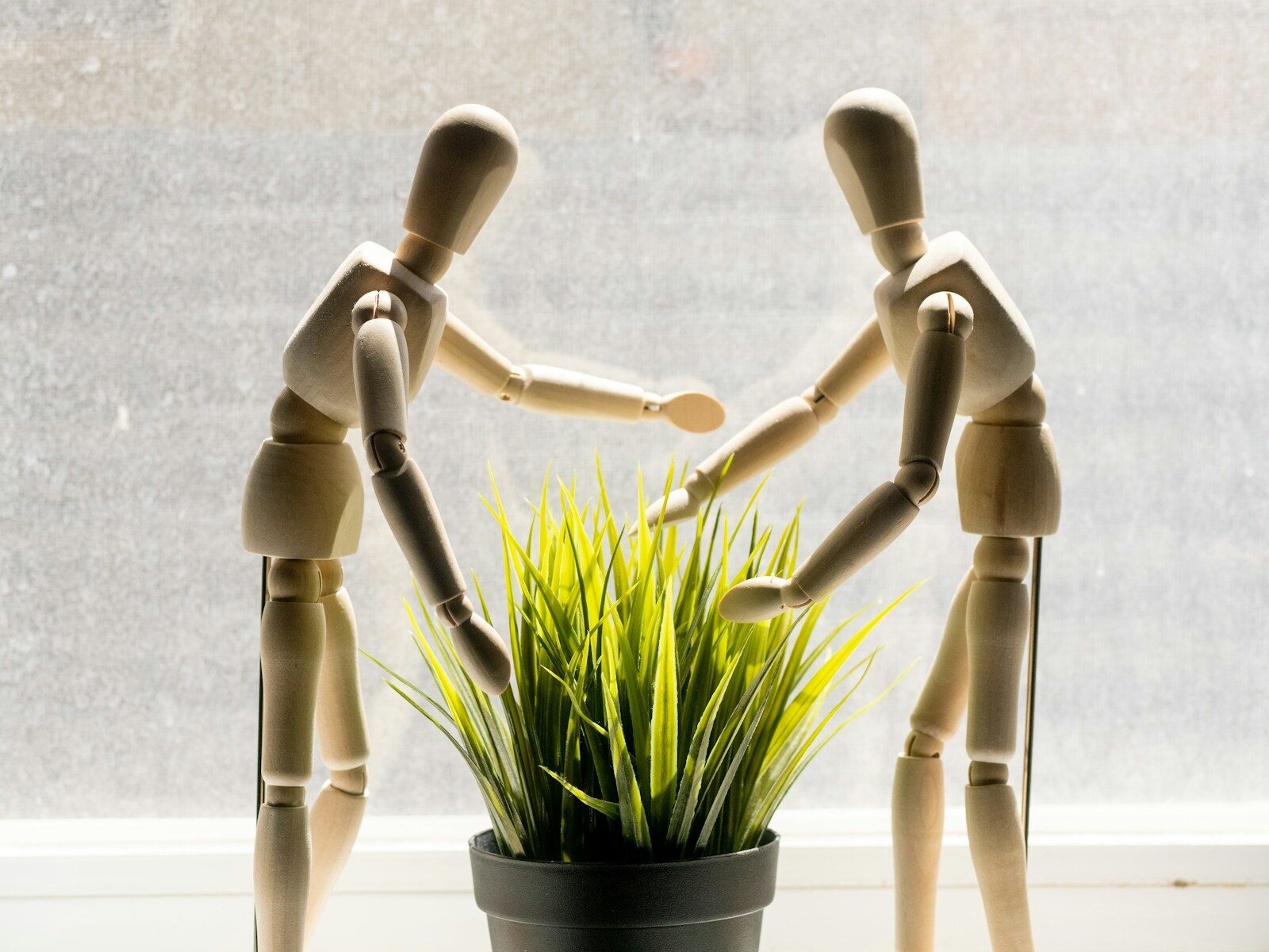 Two wooden mannequins reaching towards a potted plant